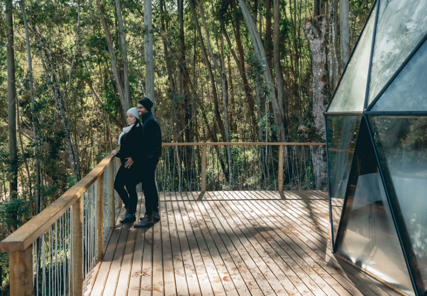 Domo Geodesico Cabana Garden13